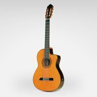 Esteve ELEC CD  электроакустическая классическая гитара 4/4, массив кедра/массив палисандра