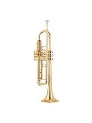 Yamaha YTR-6345G  труба Bb профессиональная, средняя,, gold brass, лак-золото, 123 мм, ML:11,73 мм