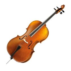 R.Paesold PA600-4/4  виолончель студенческая, массив, спиртовой лак, слегка оттенённый клён