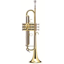 B&S BS210-1-0 SALE  Prodige труба Bb, латунь, лакированная, с чехлом, 11,68/123