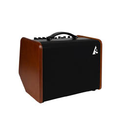 Godin Acoustic Solutions ASG-8 120 Wood  комбоусилитель для ак-й гитары, 120 Вт, коричневый
